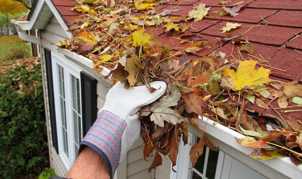 Make 'important' roof checks before winter or risk 'costly' repairs