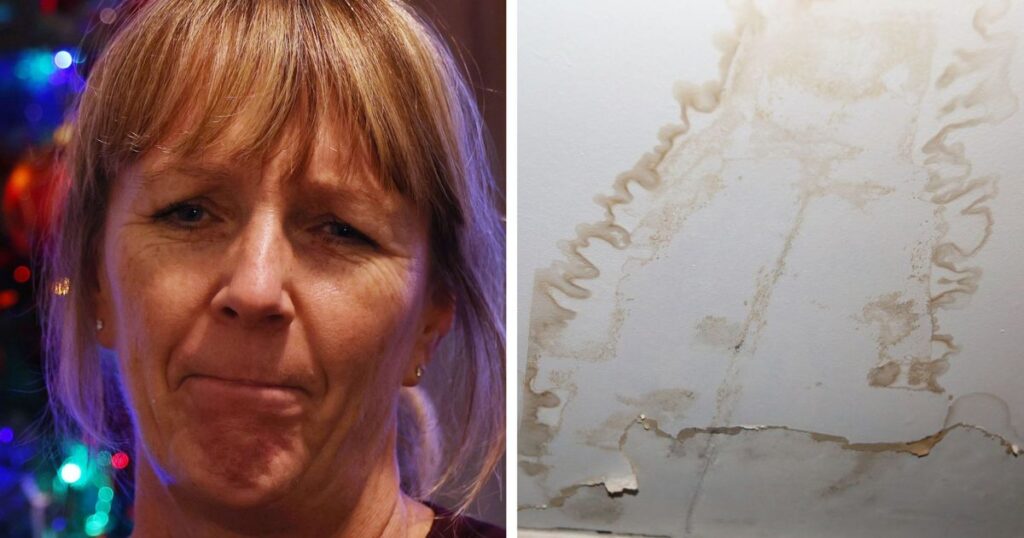 Mum's worry over mould in son's room after roof repair takes months