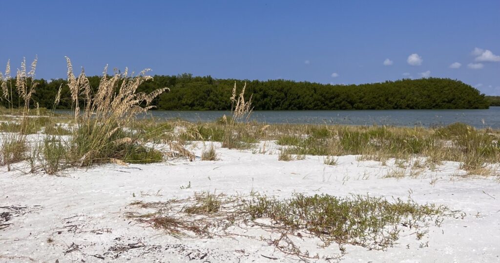 Two Lee County beaches to get new sand; no date for reopening