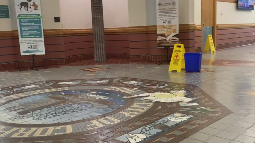 City investigating city hall roof leaks