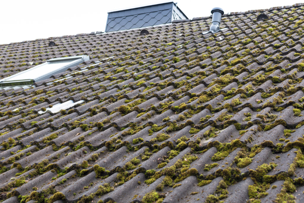 How To Remove Moss From Your Roof