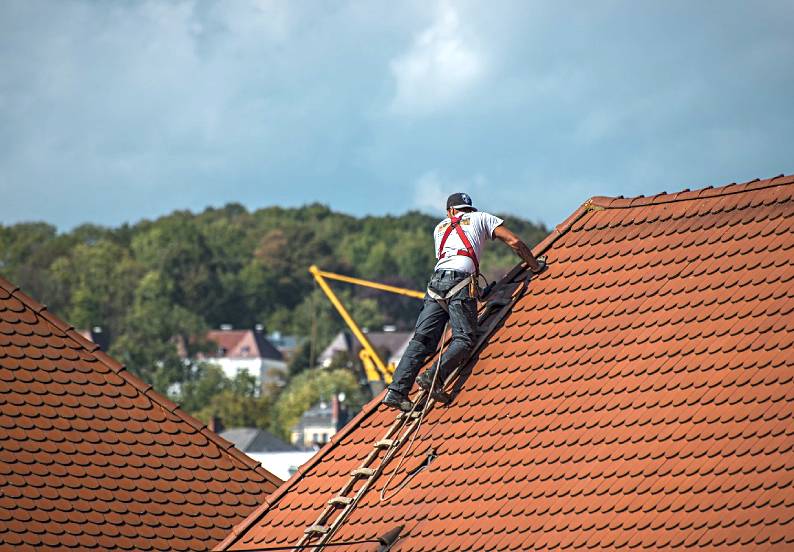 Roof Needs Repair