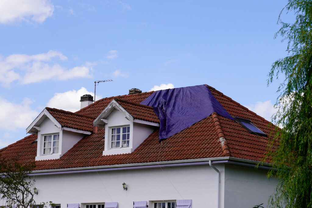 Tips For Fixing A Leaky Roof (2024)