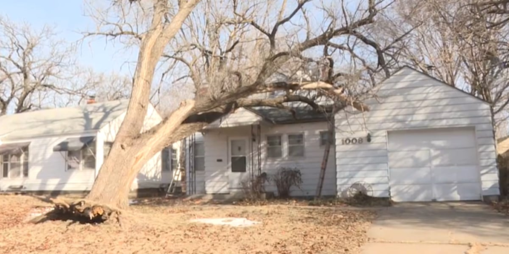 Wichita companies remove tree from man’s roof, all for free