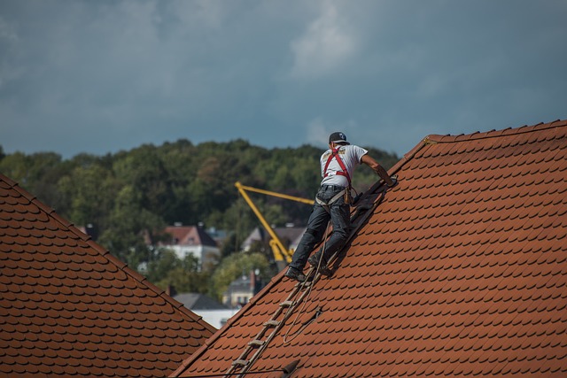 The Impact Of Trees On Roof Health: A Guide For Homeowners — KHTS Radio — Santa Clarita Radio